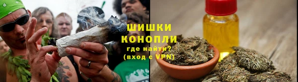 винт Дмитриев