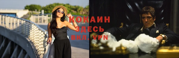 винт Дмитриев