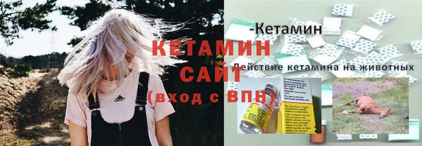 винт Дмитриев