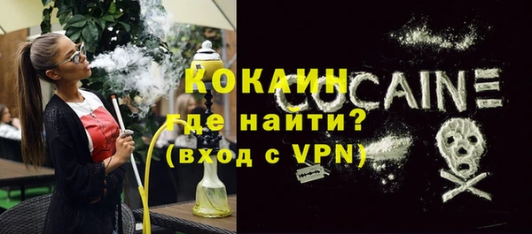 стафф Гусев
