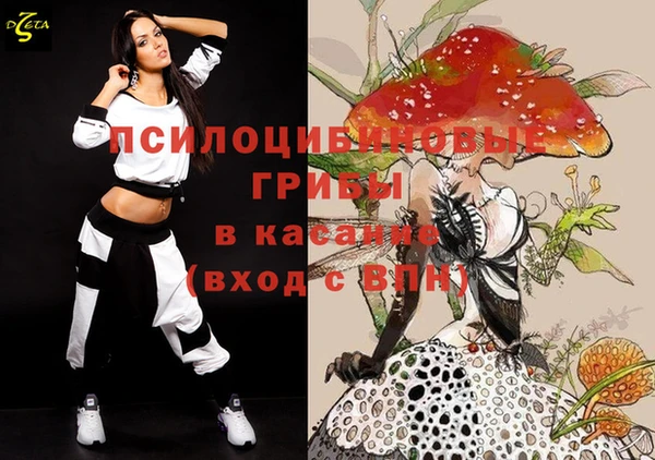 МДПВ Дмитровск