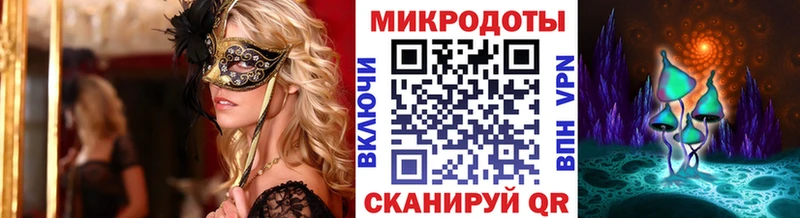 Галлюциногенные грибы Psilocybe  Купить закладки  Талица 